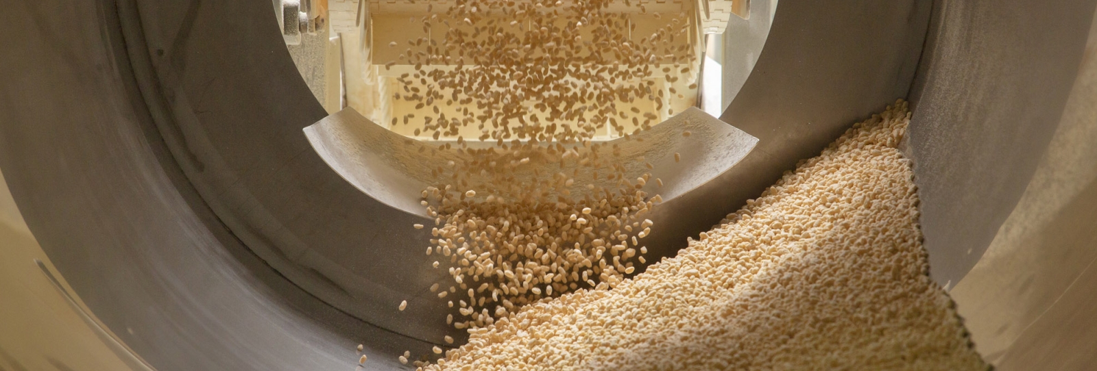 Biscuit products in a mixer