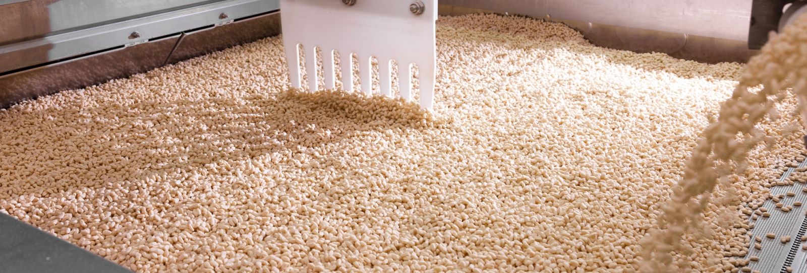Machine Sorting Biscuits