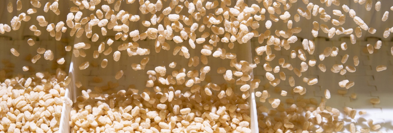 Rice Crisps in machine